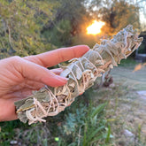 Organic White Sage Smudge Stick